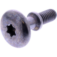 Originalersatzteil  VALVE COVER BOLT (OE SPARE PART) 3154 fitting for Ducati Streetfighter Lamborghini ABS 1100 4F00AA/4F00W1/4F00W3/4F00W5/4F00W7/4F01TH 2023, 208 PS, 153 kw