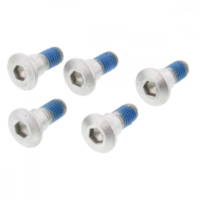 TRW MSS114-5 brake disk Screw kit  MSS1145