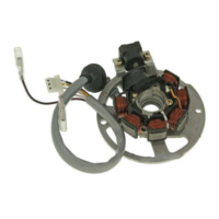 Naraku NK390.27 Generator Lichtmaschine Stator NK39027 passend f&uuml;r Adly/Herchee RS Super Sonic 50  2013, 3,6 PS, 2,65 kw