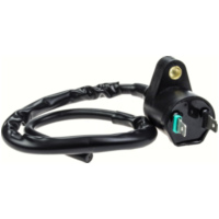 Geiwiz 2086542 Zündmodul Zündspule 2 Pins für Honda, Kymco, Peugeot, GY6, SYM passend f&uuml;r Yamaha YJ Vino 50  2004, 
