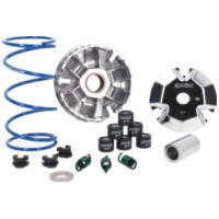 Polini 241.746 Variator Variomatik  Hi-Speed für Yamaha Aerox, Giggle, Neos, Vino 50 4-Takt Euro4