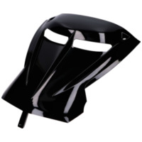 OEM Standard 42138 Karosseriedurchgang / Heckdurchgang schwarz glänzend für Peugeot Speedfight 2