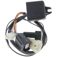 Malossi M.5515734 Lambda Emulator  TC Unit O2 Controller für Honda SH 300i